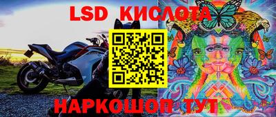 эйфоретик Ярославль