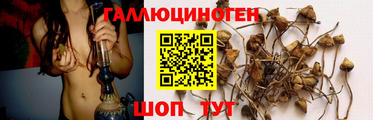 Гусь-Хрустальный  где купить наркотик  Вход с VPN  Галлюциногенные грибы мухоморы 